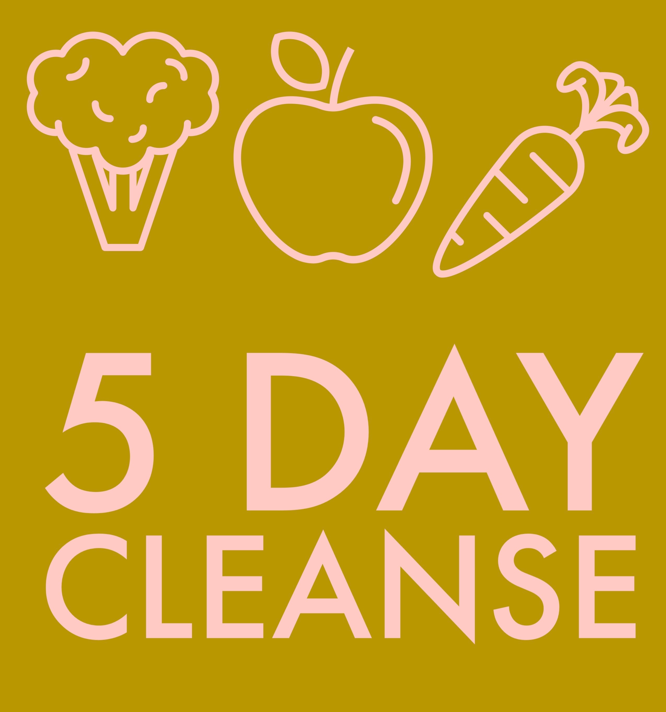 5 Day Cleanse